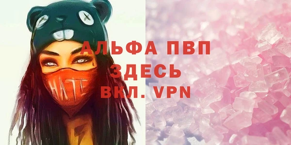 стафф Алзамай