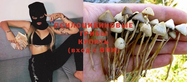 сатива Армянск